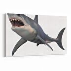 Olla 12611Y Hayvanlar Alemi Görseli Yatay Kanvas Tablo (Ölçü: 70X50)