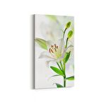 Olla 10974DD Ağaç Görseli Dikey Dar Kanvas Tablo (Ölçü: 30X60)