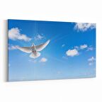 Olla 15865Y Gökyüzü Kuşlar Görseli Yatay Kanvas Tablo (Ölçü: 90X60)