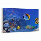 Olla 12144Y Akvaryum / Balık Görseli Yatay Kanvas Tablo (Ölçü: 90X60)