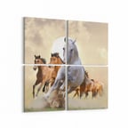 Olla 12469K4 Hayvanlar Alemi Görseli Kare 4'lü Kanvas Tablo (Ölçü: 125X125)