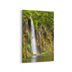 Olla 13304D Doğa / Manzara Görseli Dikey Kanvas Tablo (Ölçü: 60X90)