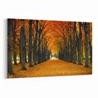 Olla 14026Y Doğa / Manzara Görseli Yatay Kanvas Tablo (Ölçü: 70X50)