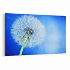 Olla 10759Y Ağaç Görseli Yatay Kanvas Tablo (Ölçü: 45X30)