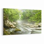 Olla 13676Y Doğa / Manzara Görseli Yatay Kanvas Tablo (Ölçü: 150X100)