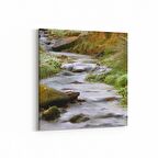 Olla 13847K Doğa / Manzara Görseli Kare Kanvas Tablo (Ölçü: 30X30)