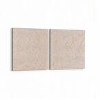 Olla 10406K2Y Abstract Görsel Kare 2'li Yatay Kanvas Tablo (Ölçü: 65X30)