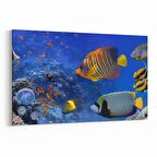 Olla 12152Y Akvaryum / Balık Görseli Yatay Kanvas Tablo (Ölçü: 150X100)