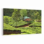 Olla 13341Y Doğa / Manzara Görseli Yatay Kanvas Tablo (Ölçü: 70X50)