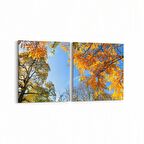 Olla 10500K2Y Ağaç Görseli Kare 2'li Yatay Kanvas Tablo (Ölçü: 105X50)
