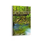 Olla 14285D Doğa / Manzara Görseli Dikey Kanvas Tablo (Ölçü: 20X30)