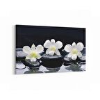 Olla 17105Y Spa / Masaj Görseli Yatay Kanvas Tablo (Ölçü: 30X20)