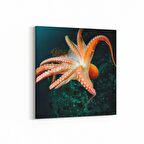 Olla 12963K Deniz / Okyanus Görseli Kare Kanvas Tablo (Ölçü: 60X60)