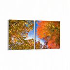 Olla 10664K2Y Ağaç Görseli Kare 2'li Yatay Kanvas Tablo (Ölçü: 125X60)