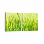 Olla 14507K2Y Doğa / Manzara Görseli Kare 2'li Yatay Kanvas Tablo (Ölçü: 65X30)