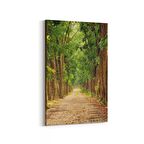 Olla 13350D Doğa / Manzara Görseli Dikey Kanvas Tablo (Ölçü: 30X45)