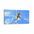 Olla 15841K2Y Gökyüzü Kuşlar Görseli Kare 2'li Yatay Kanvas Tablo (Ölçü: 105X50)