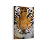 Olla 12517D Hayvanlar Alemi Görseli Dikey Kanvas Tablo (Ölçü: 60X90)