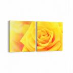 Olla 11592K2Y Çiçek Görseli Kare 2'li Yatay Kanvas Tablo (Ölçü: 145X70)