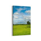Olla 13529D Doğa / Manzara Görseli Dikey Kanvas Tablo (Ölçü: 100X150)