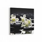 Olla 17101K Spa / Masaj Görseli Kare Kanvas Tablo (Ölçü: 100X100)