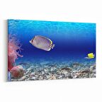 Olla 12106Y Akvaryum / Balık Görseli Yatay Kanvas Tablo (Ölçü: 150X100)