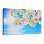 Olla 11693Y Orkide Çiçek Görseli Yatay Kanvas Tablo (Ölçü: 30X20)