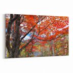 Olla 13256Y Doğa / Manzara Görseli Yatay Kanvas Tablo (Ölçü: 150X100)