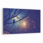 Olla 14738Y Gece Gökyüzü Görseli Yatay Kanvas Tablo (Ölçü: 45X30)