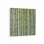 Olla 13468K Doğa / Manzara Görseli Kare Kanvas Tablo (Ölçü: 25X25)