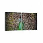 Olla 12624K2Y Hayvanlar Alemi Görseli Kare 2'li Yatay Kanvas Tablo (Ölçü: 105X50)