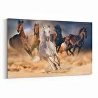 Olla 12574Y Hayvanlar Alemi Görseli Yatay Kanvas Tablo (Ölçü: 120X80)