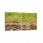 Olla 14179K2Y Doğa / Manzara Görseli Kare 2'li Yatay Kanvas Tablo (Ölçü: 85X40)