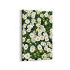 Olla 11568D Çiçek Görseli Dikey Kanvas Tablo (Ölçü: 80X120)