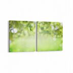 Olla 13632K2Y Doğa / Manzara Görseli Kare 2'li Yatay Kanvas Tablo (Ölçü: 105X50)