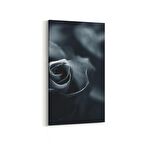 Olla 11577DD Çiçek Görseli Dikey Dar Kanvas Tablo (Ölçü: 30X60)