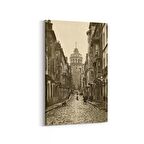 Olla 18314D Yapı Görseli Dikey Kanvas Tablo (Ölçü: 60X90)