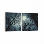 Olla 14749K2Y Gece Gökyüzü Görseli Kare 2'li Yatay Kanvas Tablo (Ölçü: 145X70)