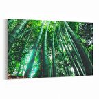 Olla 13313Y Doğa / Manzara Görseli Yatay Kanvas Tablo (Ölçü: 150X100)