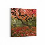 Olla 14619K Doğa / Manzara Görseli Kare Kanvas Tablo (Ölçü: 25X25)