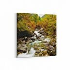 Olla 14298K Doğa / Manzara Görseli Kare Kanvas Tablo (Ölçü: 30X30)