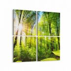 Olla 13987K4 Doğa / Manzara Görseli Kare 4'lü Kanvas Tablo (Ölçü: 145X145)