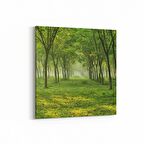 Olla 13535K Doğa / Manzara Görseli Kare Kanvas Tablo (Ölçü: 100X100)