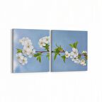 Olla 10847K2Y Ağaç Görseli Kare 2'li Yatay Kanvas Tablo (Ölçü: 65X30)