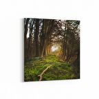 Olla 14005K Doğa / Manzara Görseli Kare Kanvas Tablo (Ölçü: 30X30)