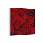 Olla 11557K Çiçek Görseli Kare Kanvas Tablo (Ölçü: 100X100)