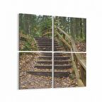 Olla 14494K4 Doğa / Manzara Görseli Kare 4'lü Kanvas Tablo (Ölçü: 145X145)