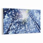 Olla 10921Y Ağaç Görseli Yatay Kanvas Tablo (Ölçü: 70X50)