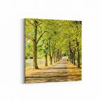 Olla 13285K Doğa / Manzara Görseli Kare Kanvas Tablo (Ölçü: 25X25)