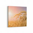Olla 16039K Günbatımı Görseli Kare Kanvas Tablo (Ölçü: 30X30)